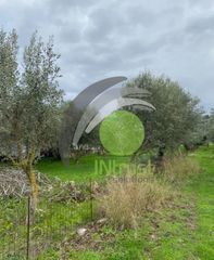 Αγροτεμάχια 650 τ.μ. για ενοικίαση, Αχαΐα, Μεσσατίδα-thumb-12