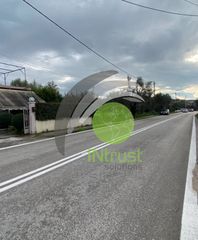Αγροτεμάχια 650 τ.μ. για ενοικίαση, Αχαΐα, Μεσσατίδα-thumb-14