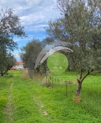 Αγροτεμάχια 650 τ.μ. για ενοικίαση, Αχαΐα, Μεσσατίδα-thumb-10