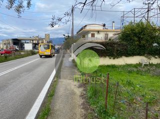 Αγροτεμάχια 650 τ.μ. για ενοικίαση, Αχαΐα, Μεσσατίδα-thumb-15