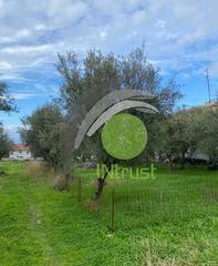 Αγροτεμάχια 650 τ.μ. για ενοικίαση, Αχαΐα, Μεσσατίδα-thumb-9