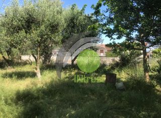 Αγροτεμάχια 650 τ.μ. για ενοικίαση, Αχαΐα, Μεσσατίδα-thumb-1