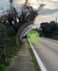 Αγροτεμάχια 650 τ.μ. για ενοικίαση, Αχαΐα, Μεσσατίδα-thumb-3
