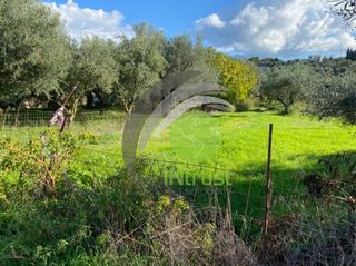 Αγροτεμάχια 650 τ.μ. για ενοικίαση, Αχαΐα, Μεσσατίδα-thumb-5