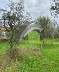 Αγροτεμάχια 650 τ.μ. για ενοικίαση, Αχαΐα, Μεσσατίδα-thumb-11