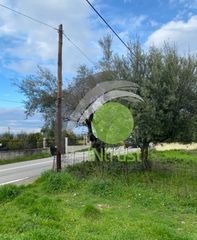 Αγροτεμάχια 650 τ.μ. για ενοικίαση, Αχαΐα, Μεσσατίδα-thumb-4