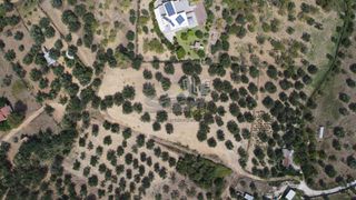 Οικόπεδο 1.000 τ.μ. προς πώληση, Μιντιλόγλι-thumb-8