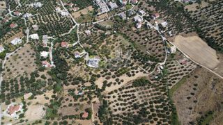 Οικόπεδο 1.000 τ.μ. προς πώληση, Μιντιλόγλι-thumb-14