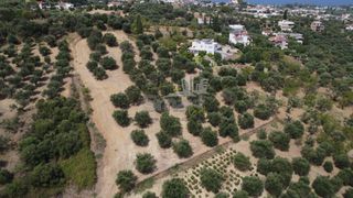 Οικόπεδο 1.000 τ.μ. προς πώληση, Μιντιλόγλι-thumb-16