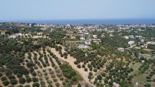 Οικόπεδο 1.000 τ.μ. προς πώληση, Μιντιλόγλι-thumb-5
