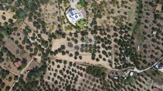 Οικόπεδο 1.000 τ.μ. προς πώληση, Μιντιλόγλι-thumb-13