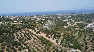 Οικόπεδο 1.000 τ.μ. προς πώληση, Μιντιλόγλι-thumb-6