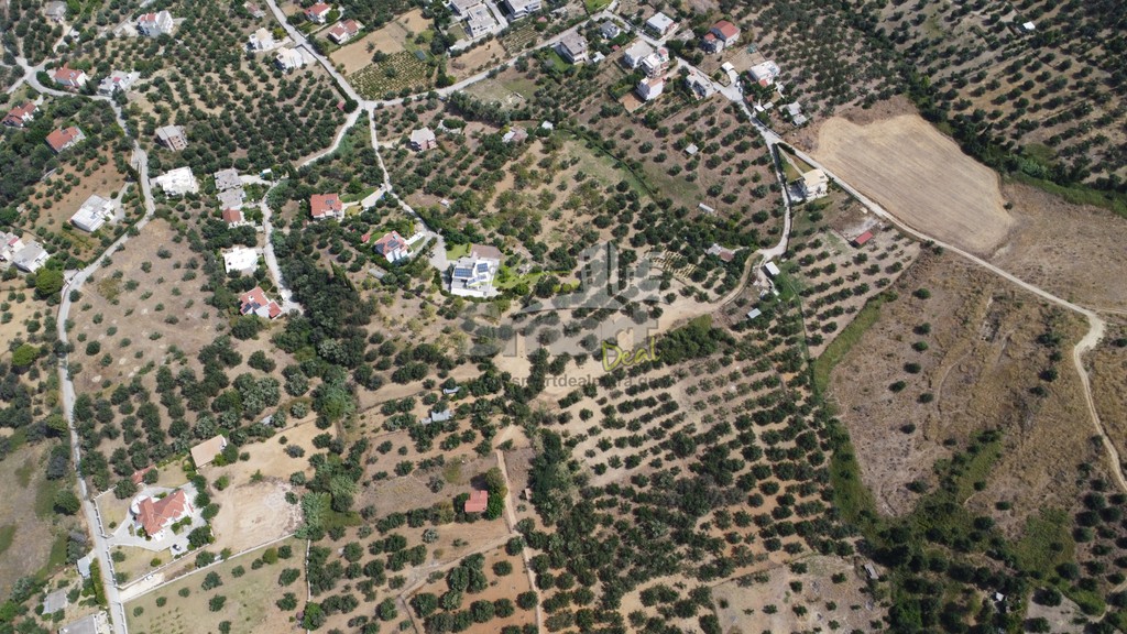 Οικόπεδο 1.000 τ.μ. προς πώληση, Μιντιλόγλι
