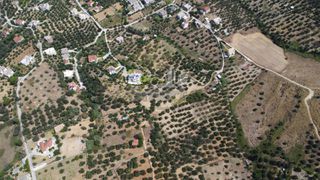 Οικόπεδο 1.000 τ.μ. προς πώληση, Μιντιλόγλι-thumb-2