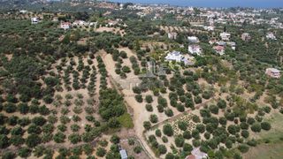 Οικόπεδο 1.000 τ.μ. προς πώληση, Μιντιλόγλι-thumb-17