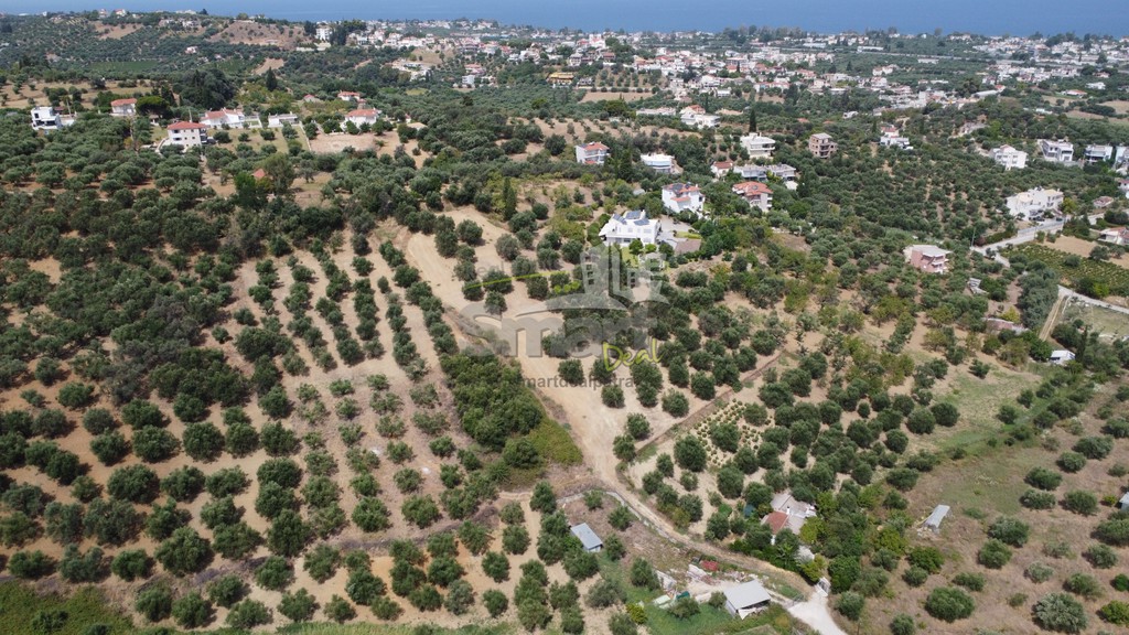Οικόπεδο 1.000 τ.μ. προς πώληση, Μιντιλόγλι