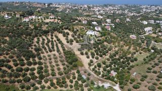 Οικόπεδο 1.000 τ.μ. προς πώληση, Μιντιλόγλι-thumb-4