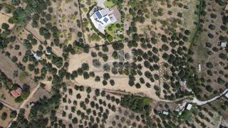 Οικόπεδο 1.000 τ.μ. προς πώληση, Μιντιλόγλι-thumb-21