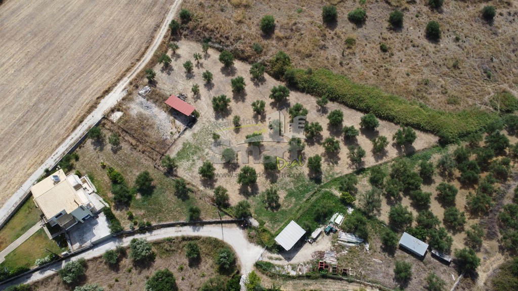 Οικόπεδο 4.500 τ.μ. προς πώληση, Μιντιλόγλι