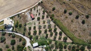 Οικόπεδο 4.500 τ.μ. προς πώληση, Μιντιλόγλι-thumb-4