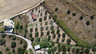 Οικόπεδο 4.500 τ.μ. προς πώληση, Μιντιλόγλι-thumb-8