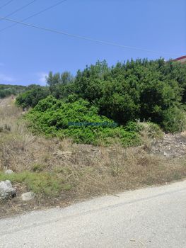 Οικόπεδο 750τ.μ. για πώληση-Κολυμβάρι