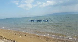 Βίλλα 171 τ.μ. για πώληση, Εύβοια, Αυλίδα-thumb-18