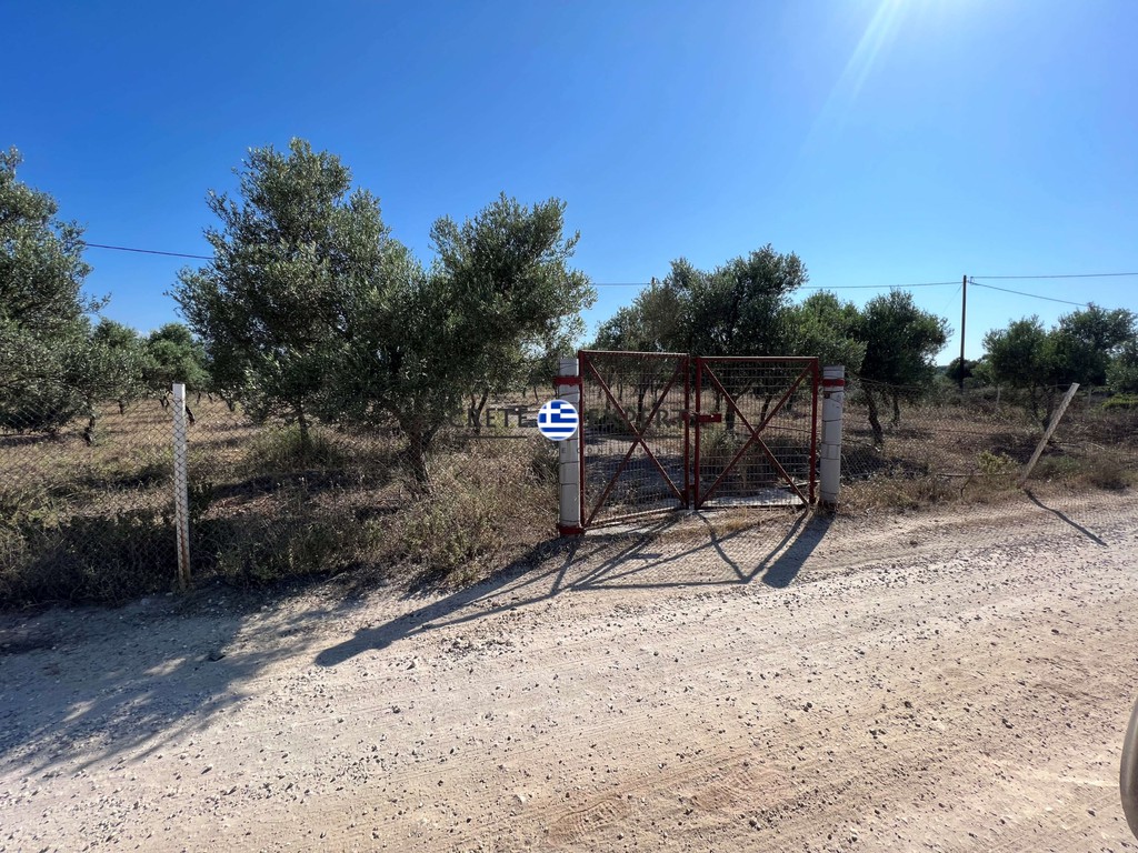 Οικόπεδο 10.159 τ.μ. προς πώληση, Μουζουράς
