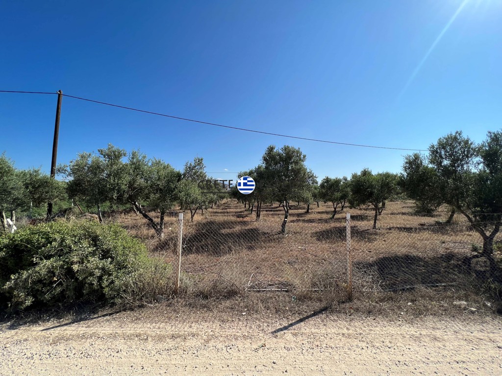 Οικόπεδο 10.159 τ.μ. προς πώληση, Μουζουράς