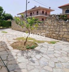 Επιχείρηση 200 τ.μ. προς πώληση, Άφυτος-thumb-3