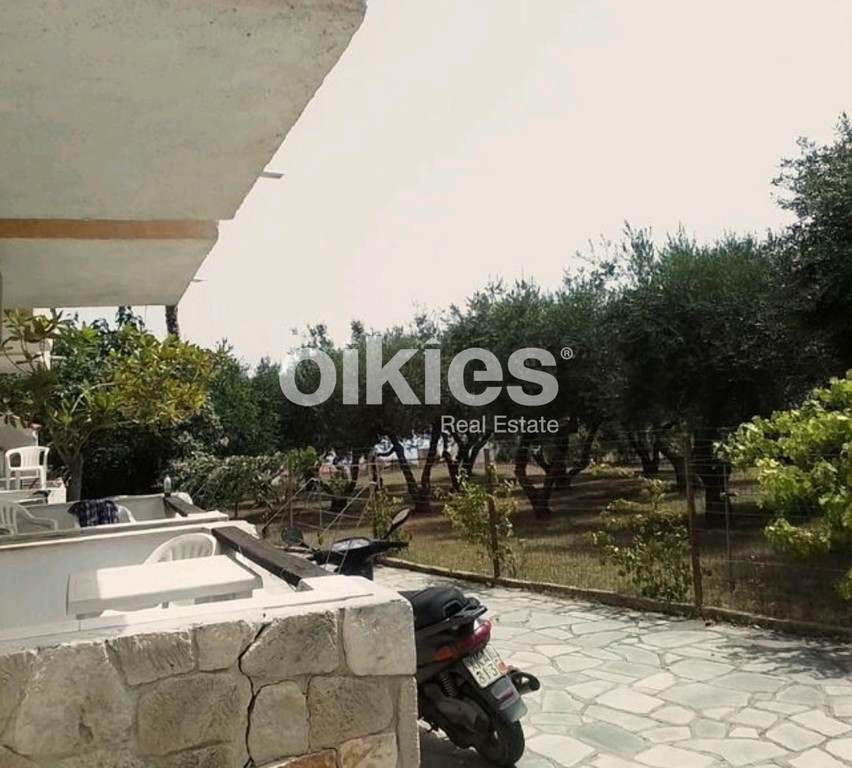 Επιχείρηση 200 τ.μ. προς πώληση, Άφυτος