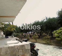 Επιχείρηση 200 τ.μ. προς πώληση, Άφυτος-thumb-4