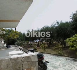 Επιχείρηση 200 τ.μ. προς πώληση, Άφυτος-thumb-7