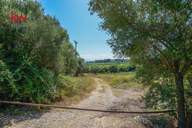 Αγροτεμάχια 15.661 τ.μ. για πώληση, Αχαΐα, Δυτικής Αχαΐας