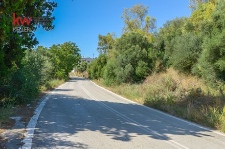 Αγροτεμάχια 7.997 τ.μ. για πώληση