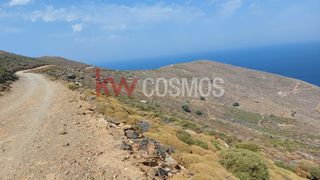 Αγροτεμάχια 4.900 τ.μ. προς πώληση, Άνδρος-thumb-6