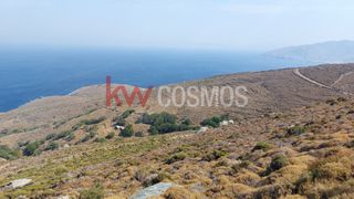 Αγροτεμάχια 4.900 τ.μ. προς πώληση, Άνδρος-thumb-4