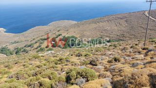 Αγροτεμάχια 4.900 τ.μ. προς πώληση, Άνδρος-thumb-5