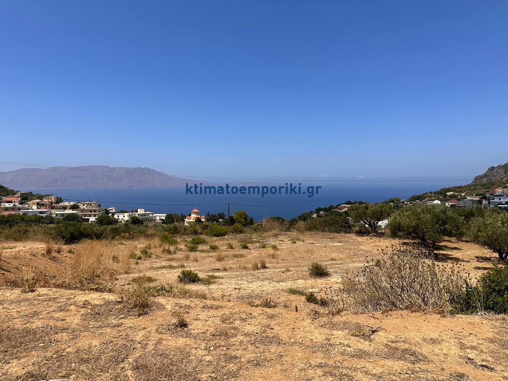 Οικόπεδο 1.000 τ.μ. προς πώληση, Ραβδούχα