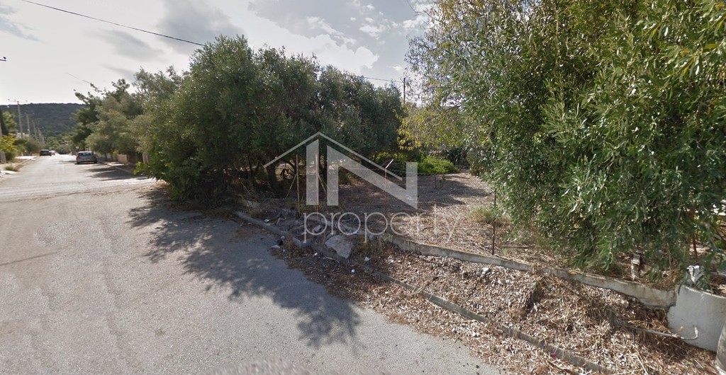 Αγροτεμάχια 332 τ.μ. προς πώληση, Αμπελάκια Σαλαμίνας