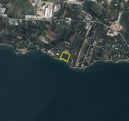 Οικόπεδο 8.835,75 τ.μ. προς πώληση, Βασιλικό Ληλαντίου-thumb-3