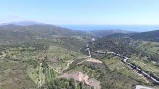 Φάρμα / ράντσο 202.000 τ.μ. για πώληση, Εύβοια, Δύστος-thumb-2