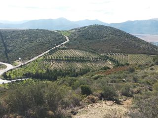 Φάρμα / ράντσο 202.000 τ.μ. για πώληση, Εύβοια, Δύστος-thumb-16