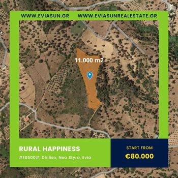 Land plot 11.000sqm for sale-Stira