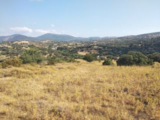 Οικόπεδο 11.000 τ.μ. προς πώληση, Νέα Στύρα-thumb-6