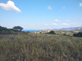 Οικόπεδο 11.000 τ.μ. προς πώληση, Νέα Στύρα-thumb-5