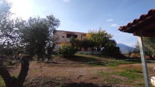 Βίλλα 330 τ.μ. για πώληση, Εύβοια, Ανθηδώνος-thumb-4