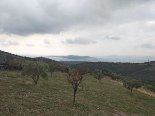 Οικόπεδο 19.000 τ.μ. για πώληση, Εύβοια, Στύρα-thumb-7