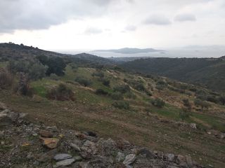Οικόπεδο 19.000 τ.μ. για πώληση, Εύβοια, Στύρα-thumb-8