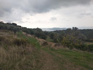 Οικόπεδο 19.000 τ.μ. για πώληση, Εύβοια, Στύρα-thumb-5